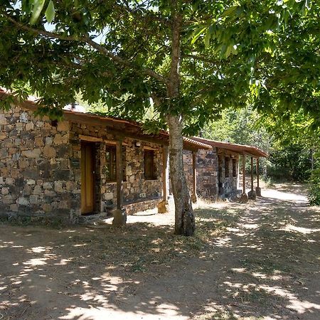 Cepo Verde Gondesende Luaran gambar