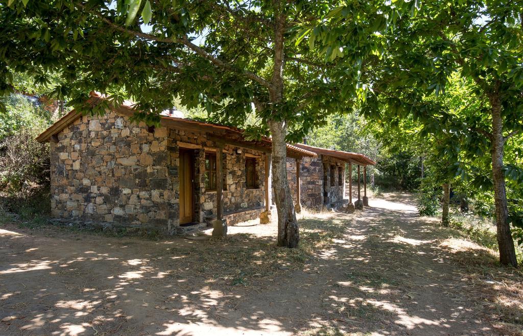 Cepo Verde Gondesende Luaran gambar